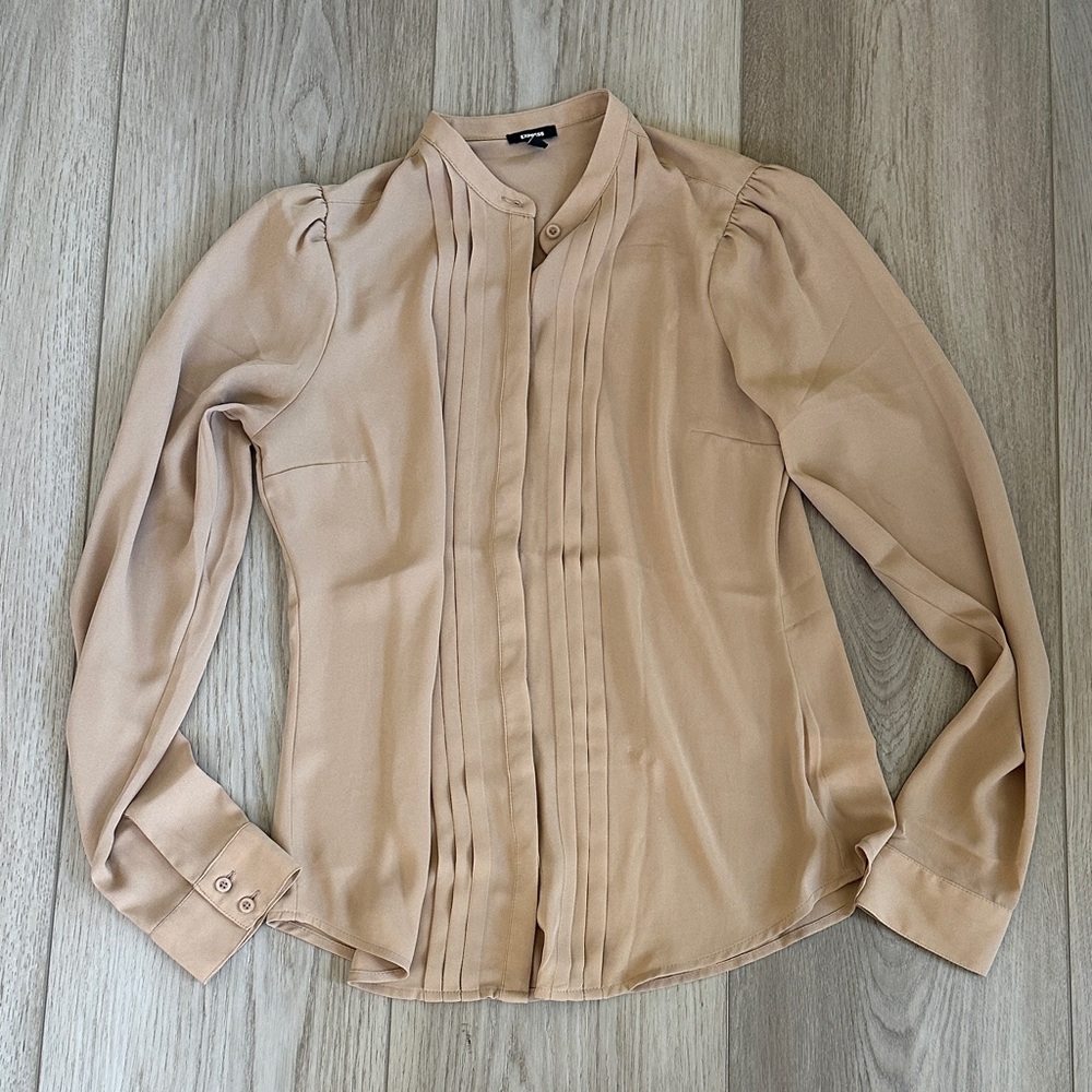 Express Button Down Blouse - image 1